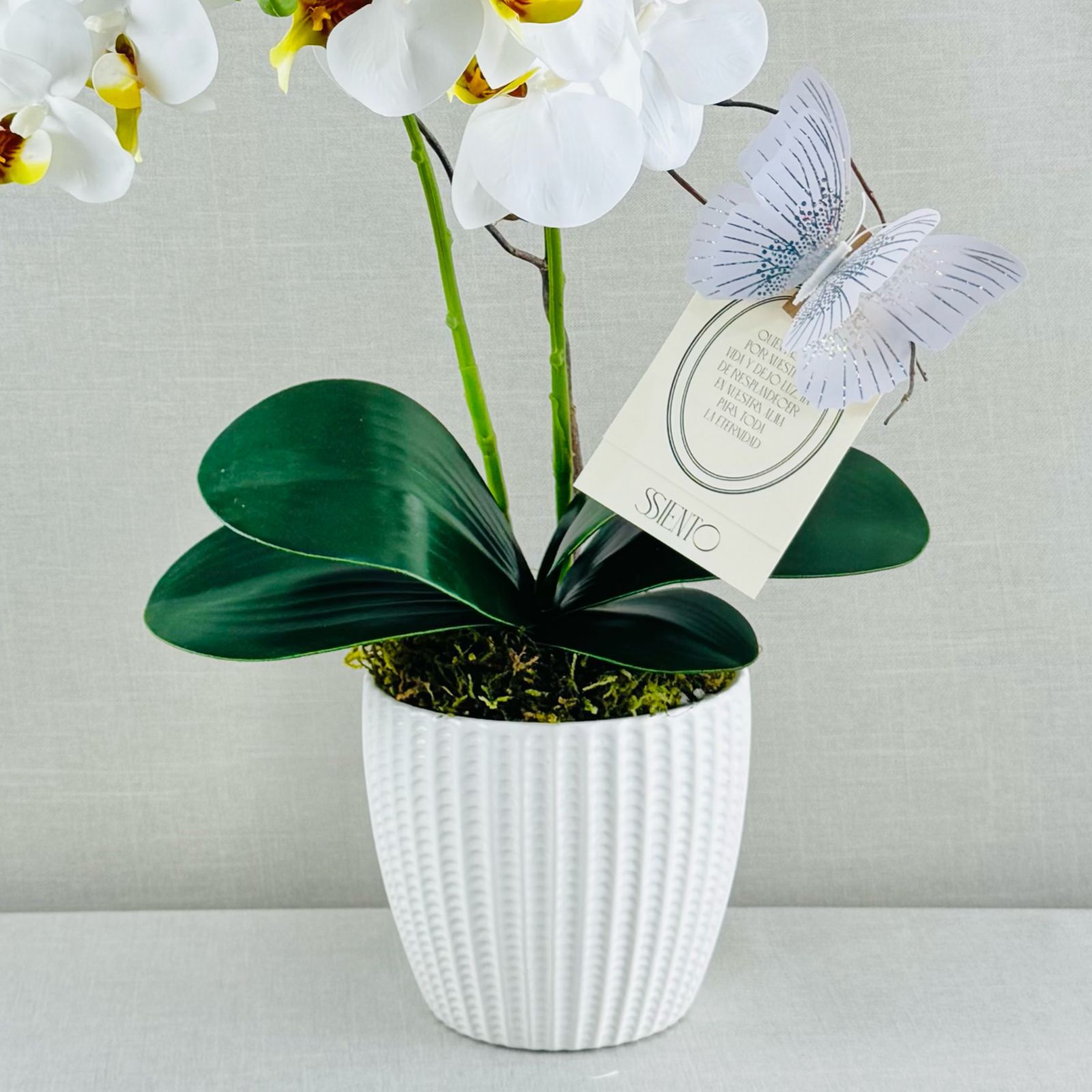 ORQUIDEAS NATURALES - Imagen 4