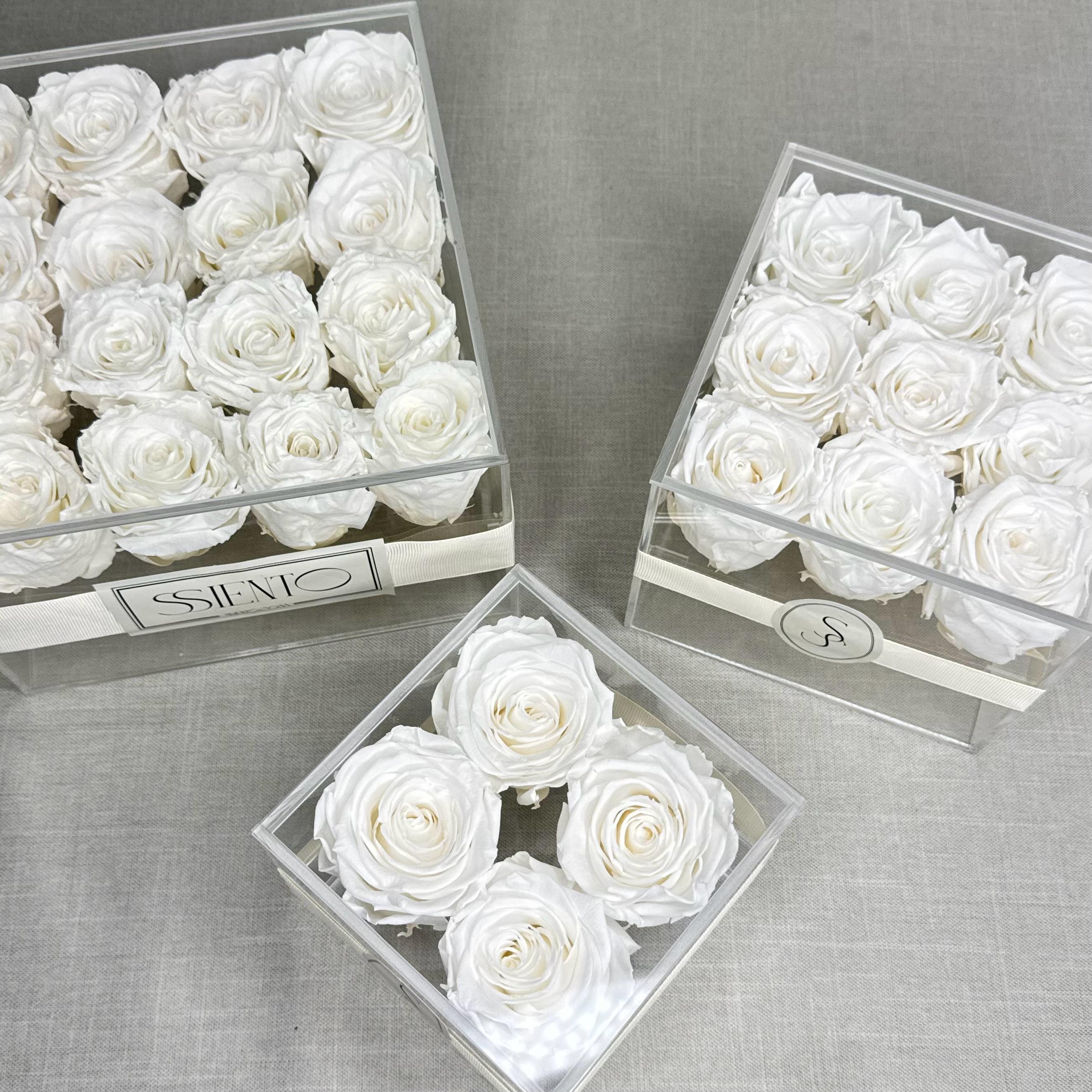 ROSAS PRESERVADAS EN CAJA DE ACRÍLICO