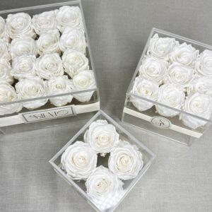 ROSAS PRESERVADAS EN CAJA DE ACRÍLICO