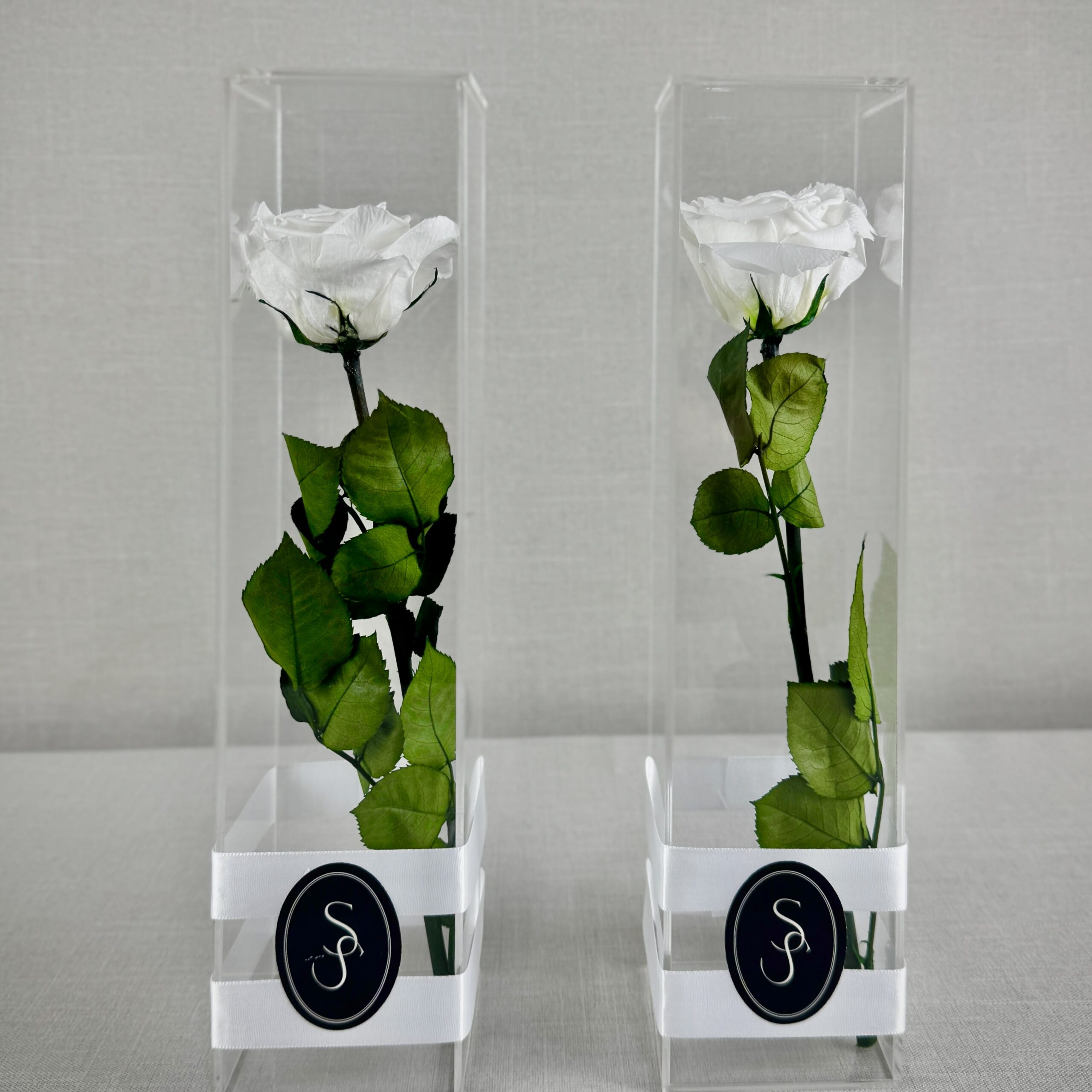 ROSA PRESERVADA CON TALLO - Imagen 4