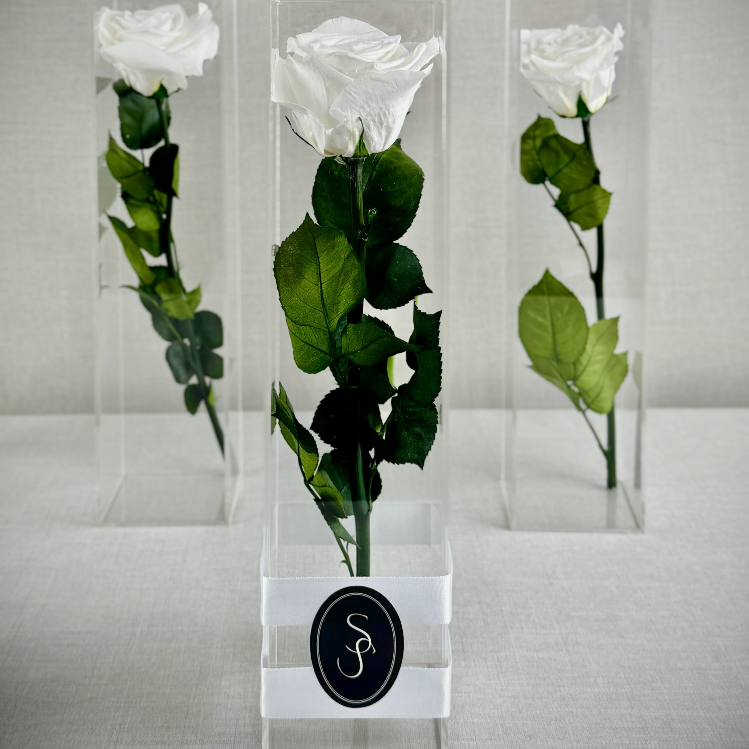 ROSA PRESERVADA CON TALLO - Imagen 3