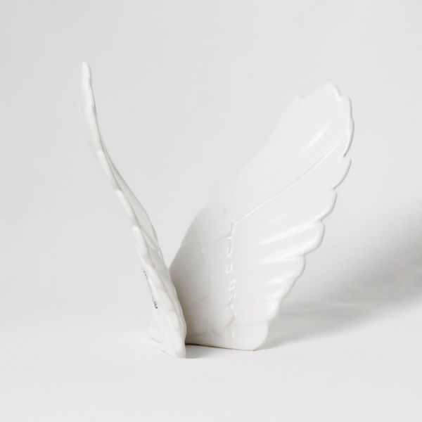 Alas-abrazos-del-cielo-de-lado