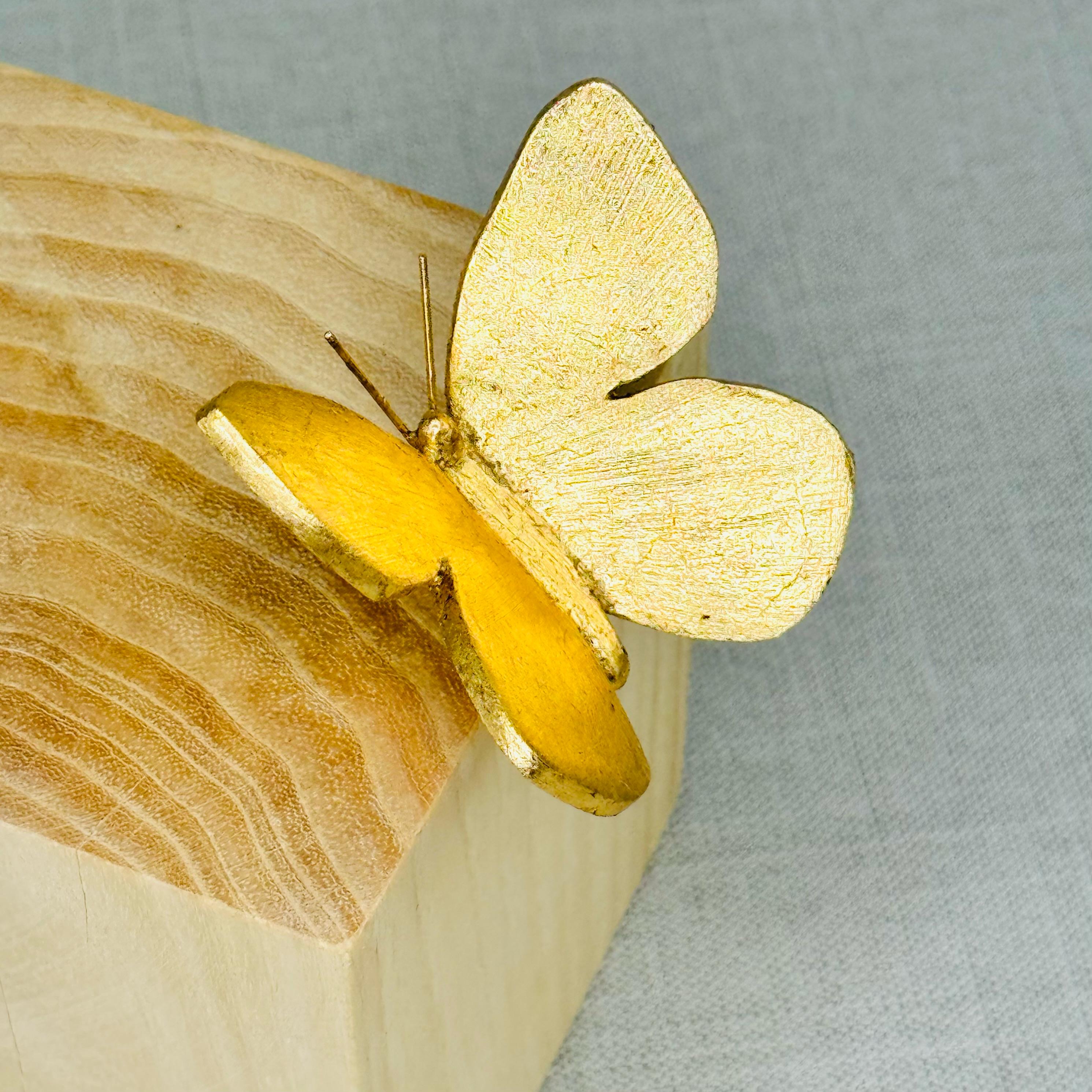 CUBO CON MARIPOSA DE DAVIT NAVA - Imagen 3