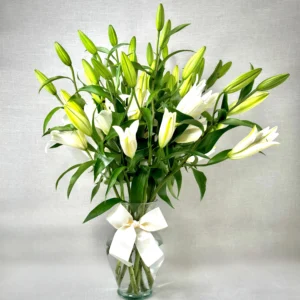 FLORES CASA BLANCA